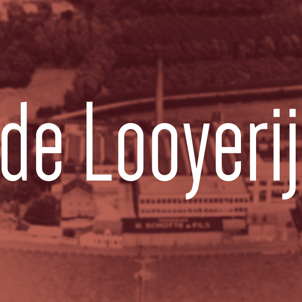 logo De Looyerij